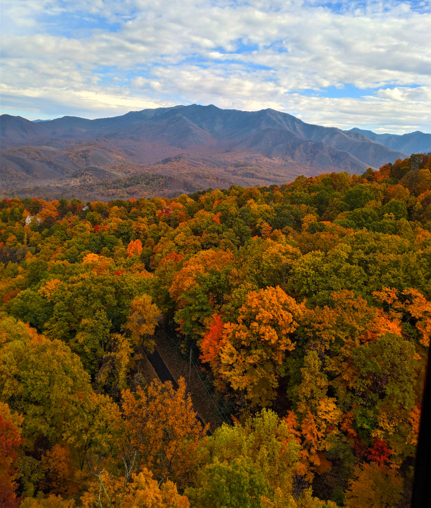 Fall Colors, Gatlinburg, Tennessee