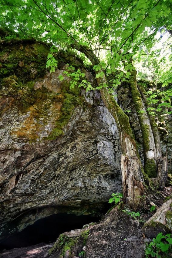 Layser Cave best caverns to explore 