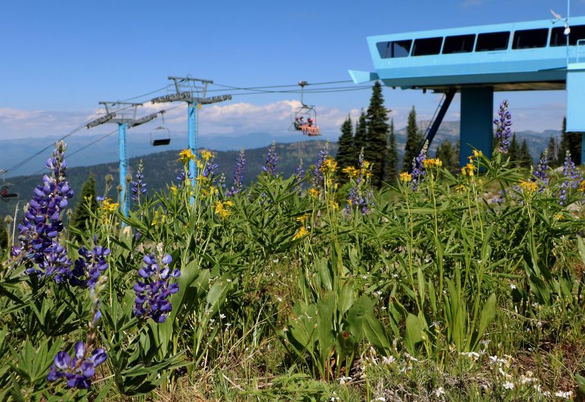 idaho ski resorts 