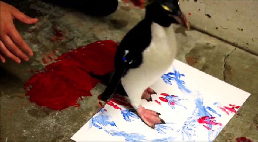 paint with penguins