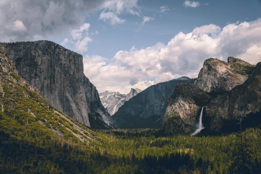 wildlife at Yosemite Falls Trail