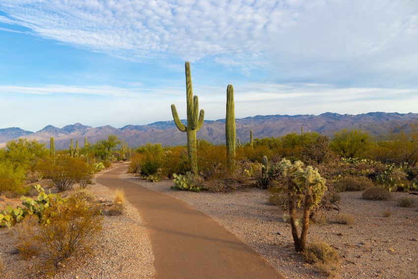 best national parks int he winter 