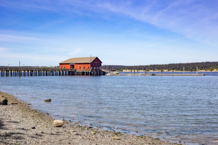 10 Best Sea Glass Beaches in Washington Scenic States