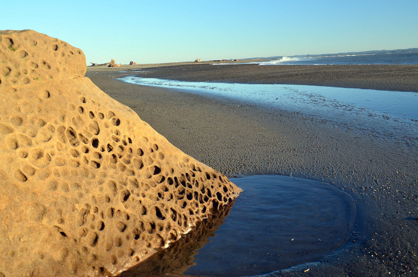 Damon Point, Ocean Shores, Washington