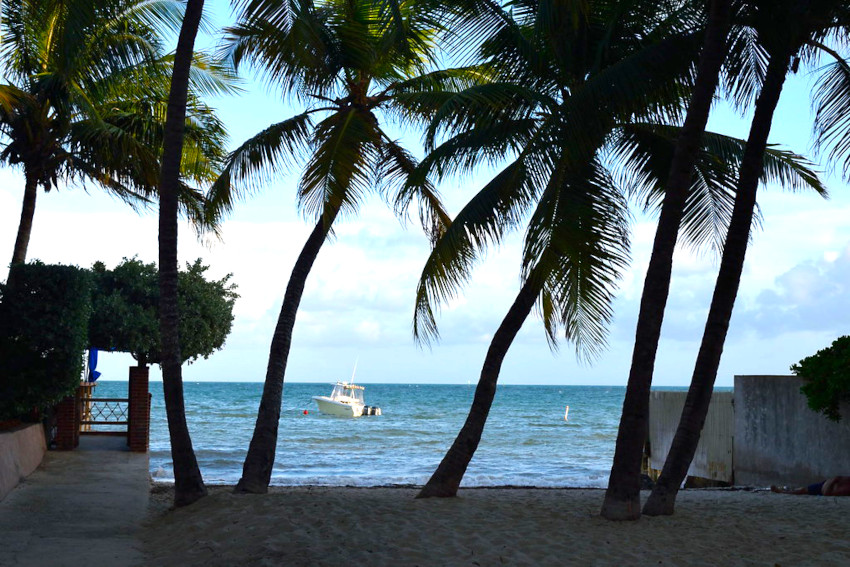 Dog Beach, Key West, Florida