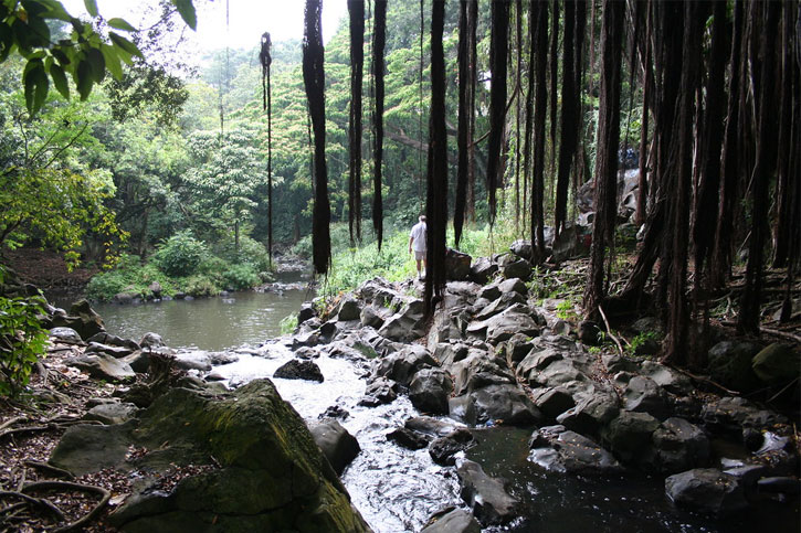 Kapena Falls trail