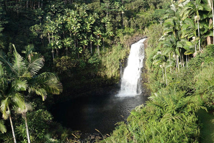 waterfall in Hilo