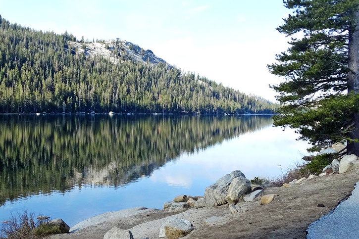 best short hikes in Yosemite