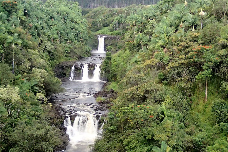 Umauma Falls in Hilo
