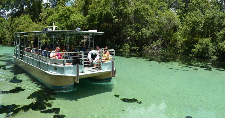 boat tour natural springs Florida