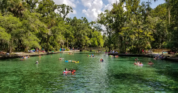 Florida springs with bridge