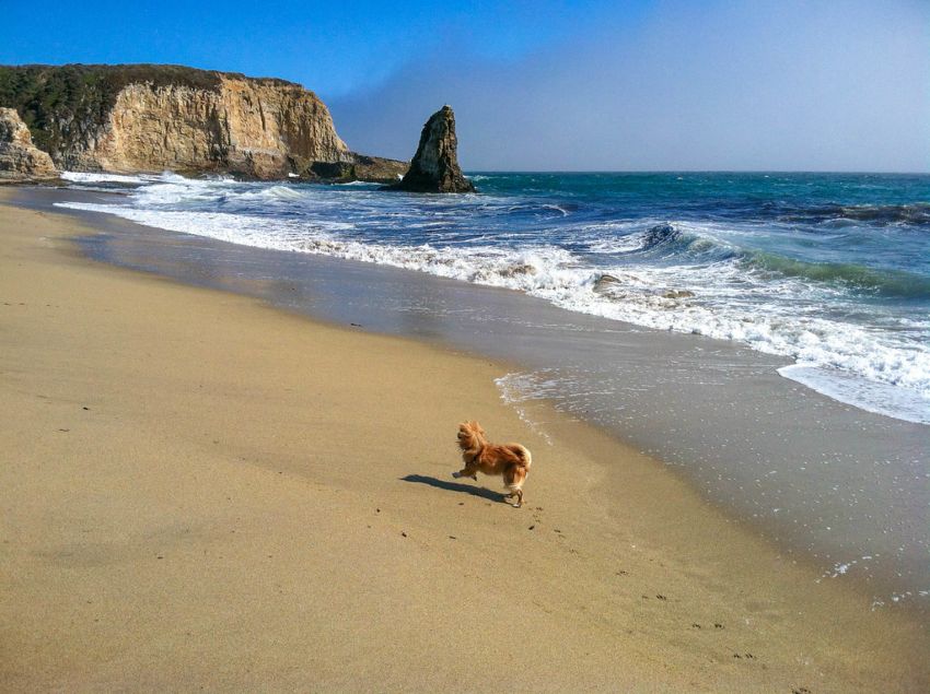 glass beach san diego 