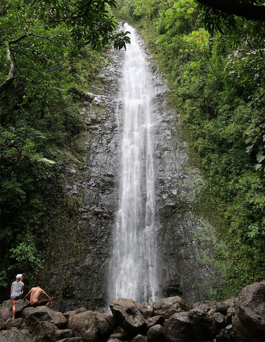 Manoa Falls