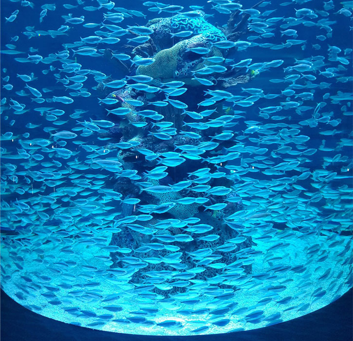 Aquarium at Biloxi MS