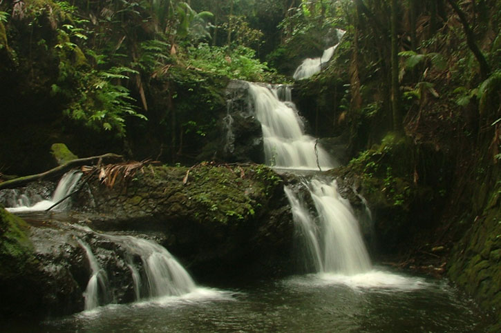 Onomea Falls