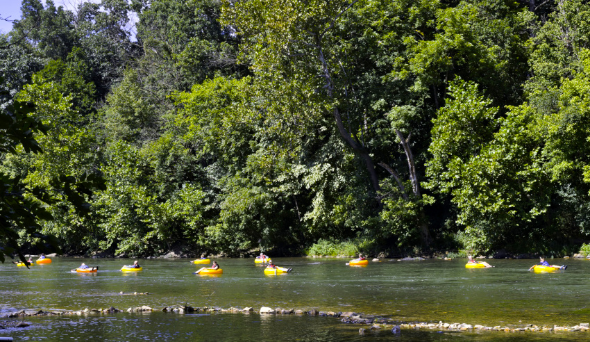 Shenandoah River, Virginia