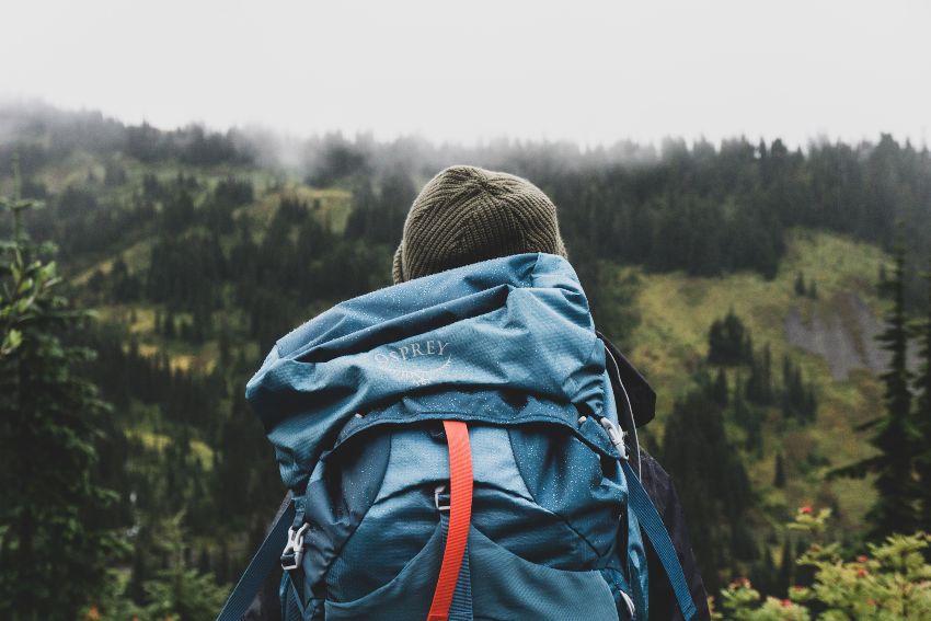 Hiking Mount Rainier National Park