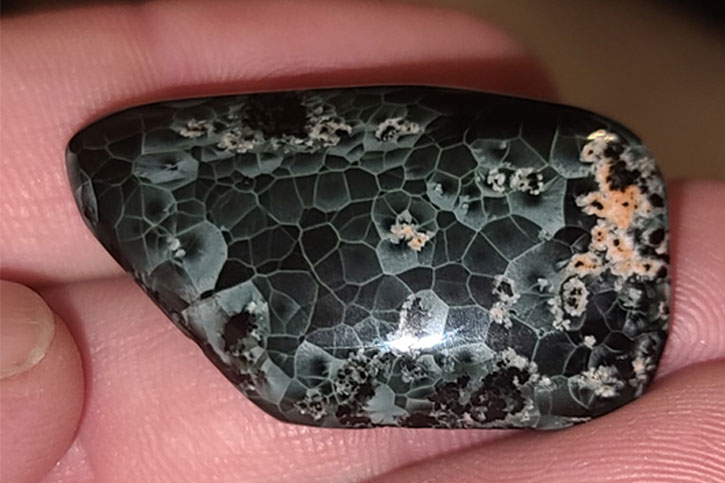 Michigan's state rock greenstone gem