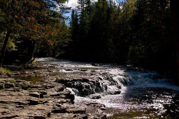 Swimming in Ocqueoc Falls