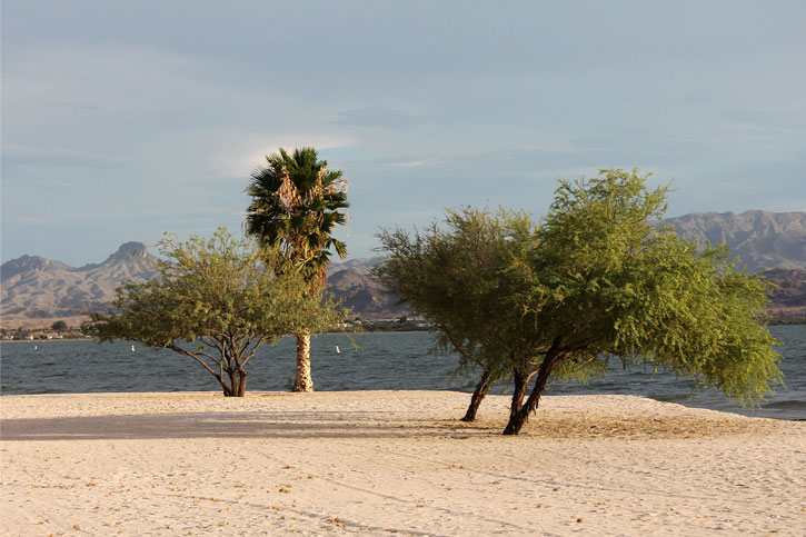 Arizona beach at Lake Havasu