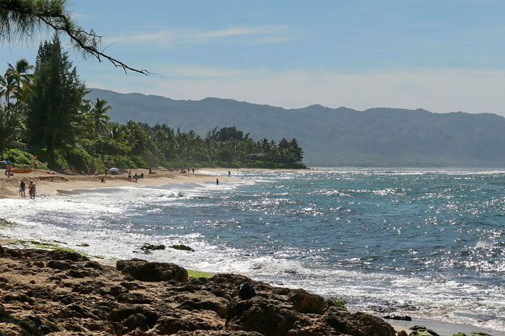 Laniakea beach