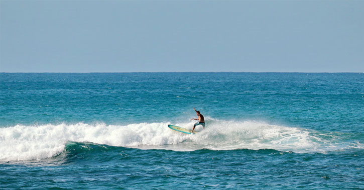 surfing at Laniakea beach 