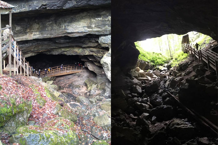 Organ Cave System