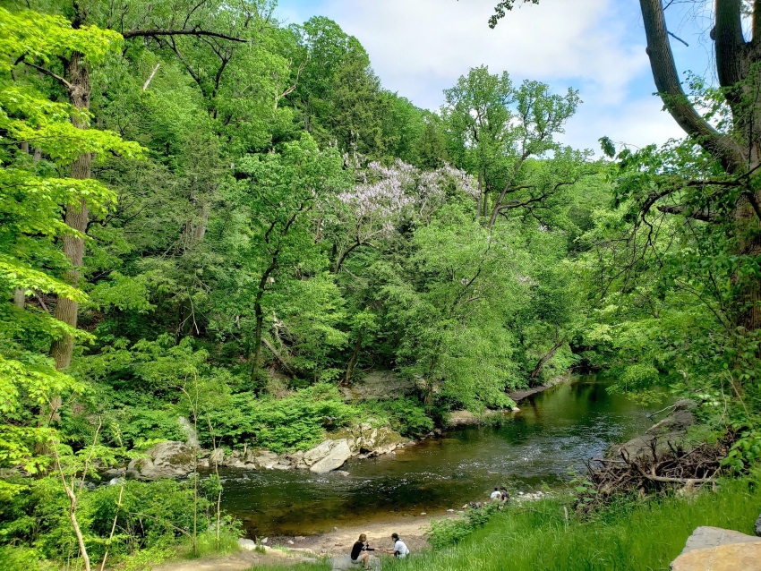 People rockhounding at Wissahickon