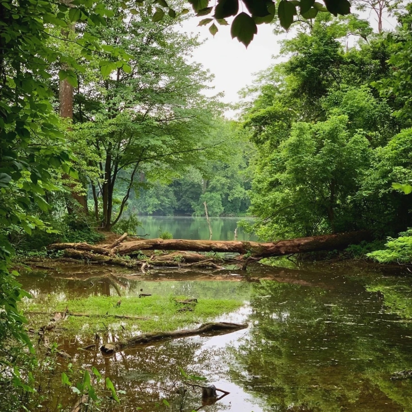 iron ore site in PA