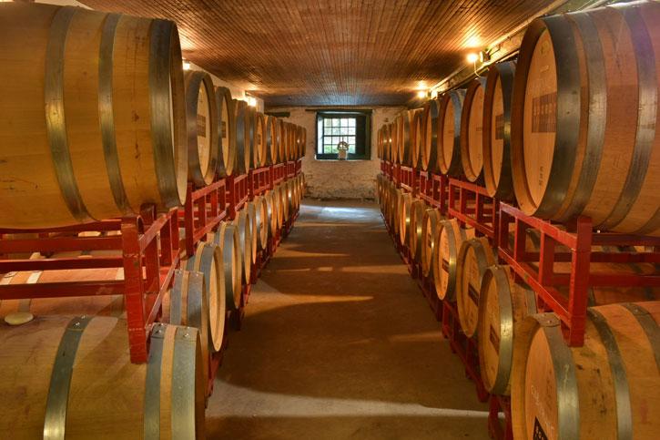 award-winning Maryland wines