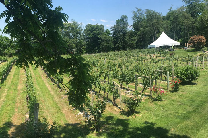 Elk Run wines Maryland