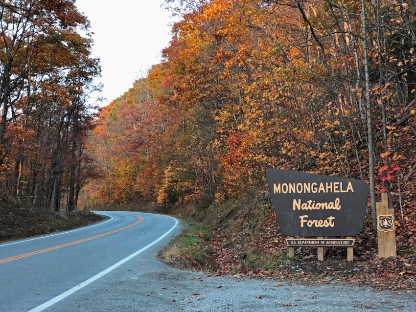  Monongahela National Forest 