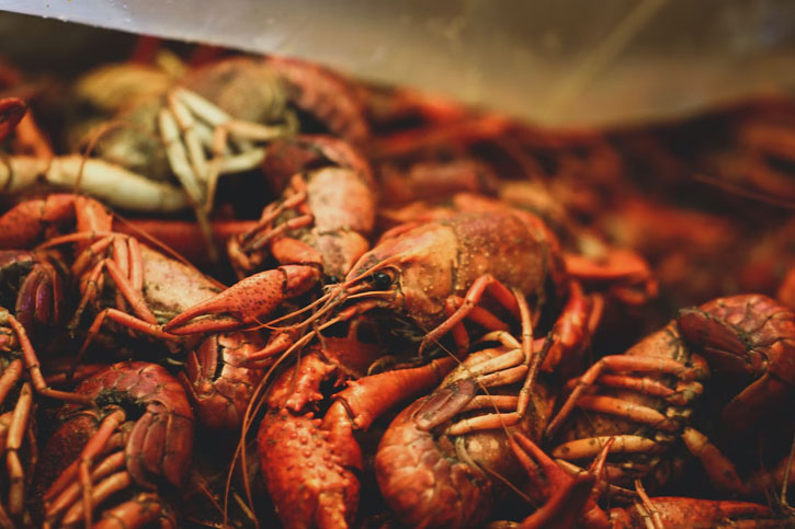 Louisiana Crawfish Boil