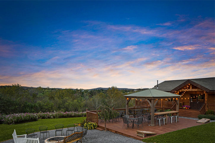 Orchid Cellar vineyards