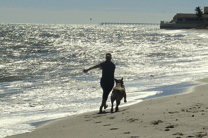 dog-friendly beach in Florida