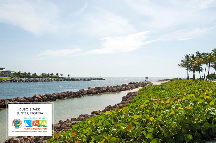 Dubois Park beach in Jupiter, Florida