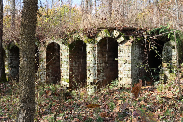 Vinton Furnace State Forest