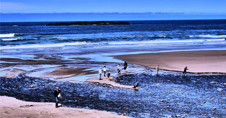 sea glass hunting at Beverly Beach Oregon