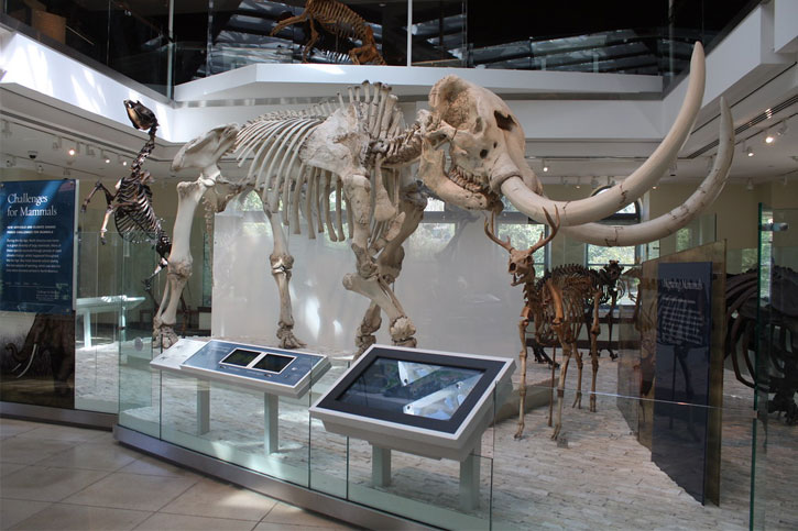 best natural history museums