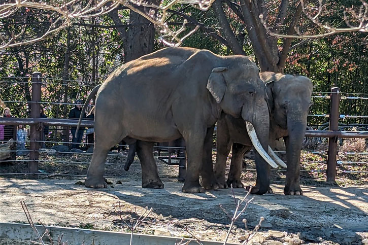 Washington DC zoo with free entrance 