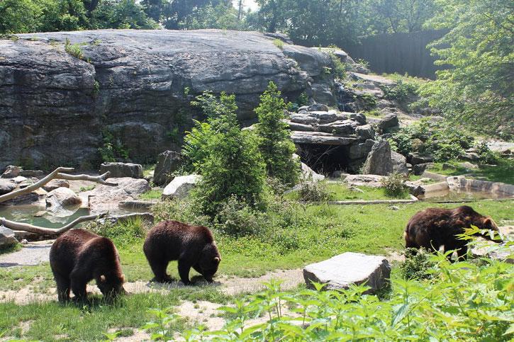 New York free zoo