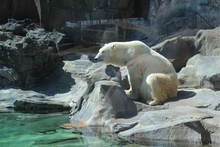 Henry Doorly Zoo Nebraska